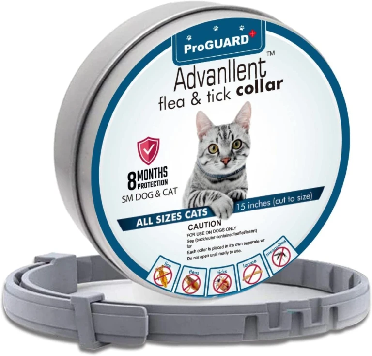 Advanllent Flea Collar For Cats Flea And Tick Collars For Cats And Kittens 8 Month Protection