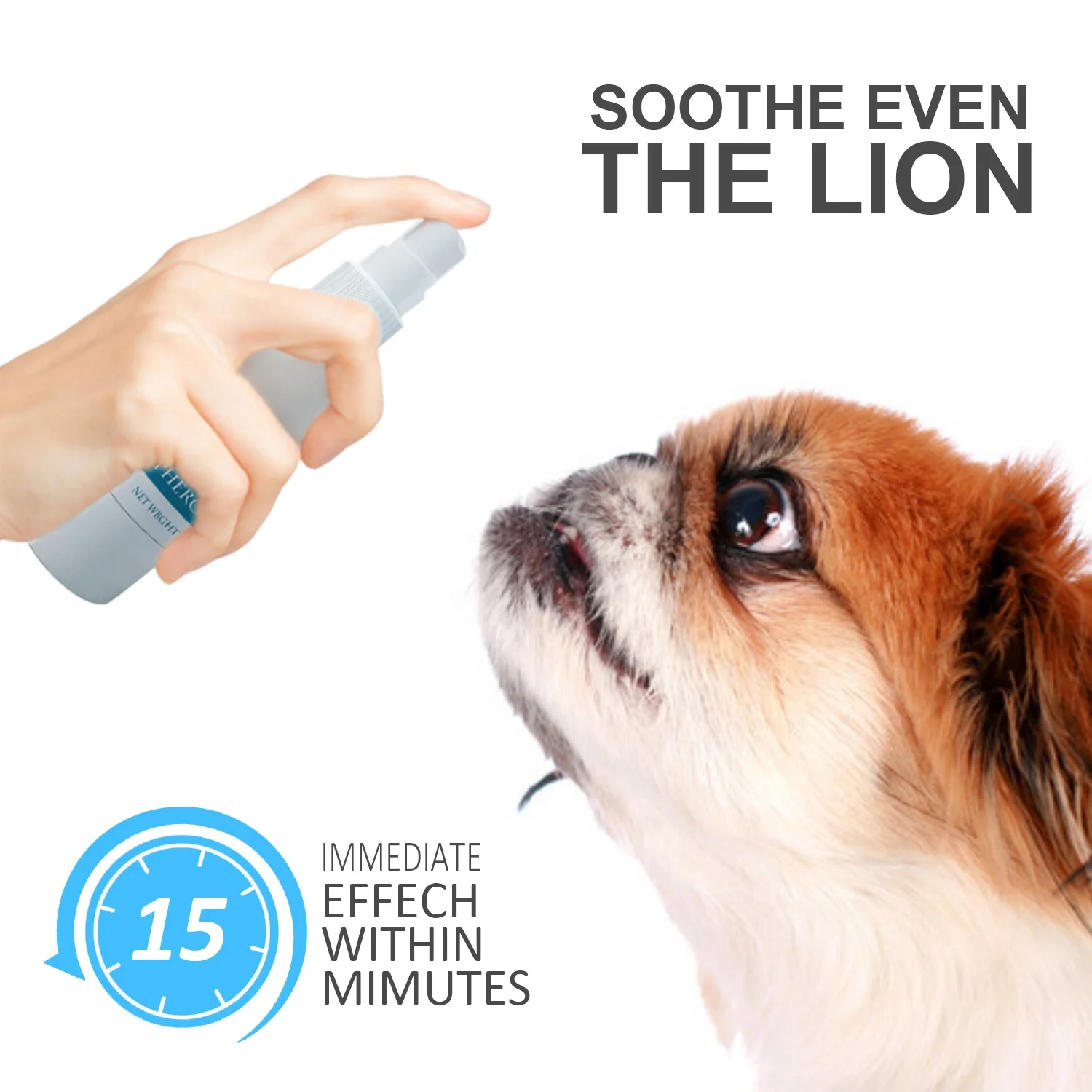 dog calming spray treatment