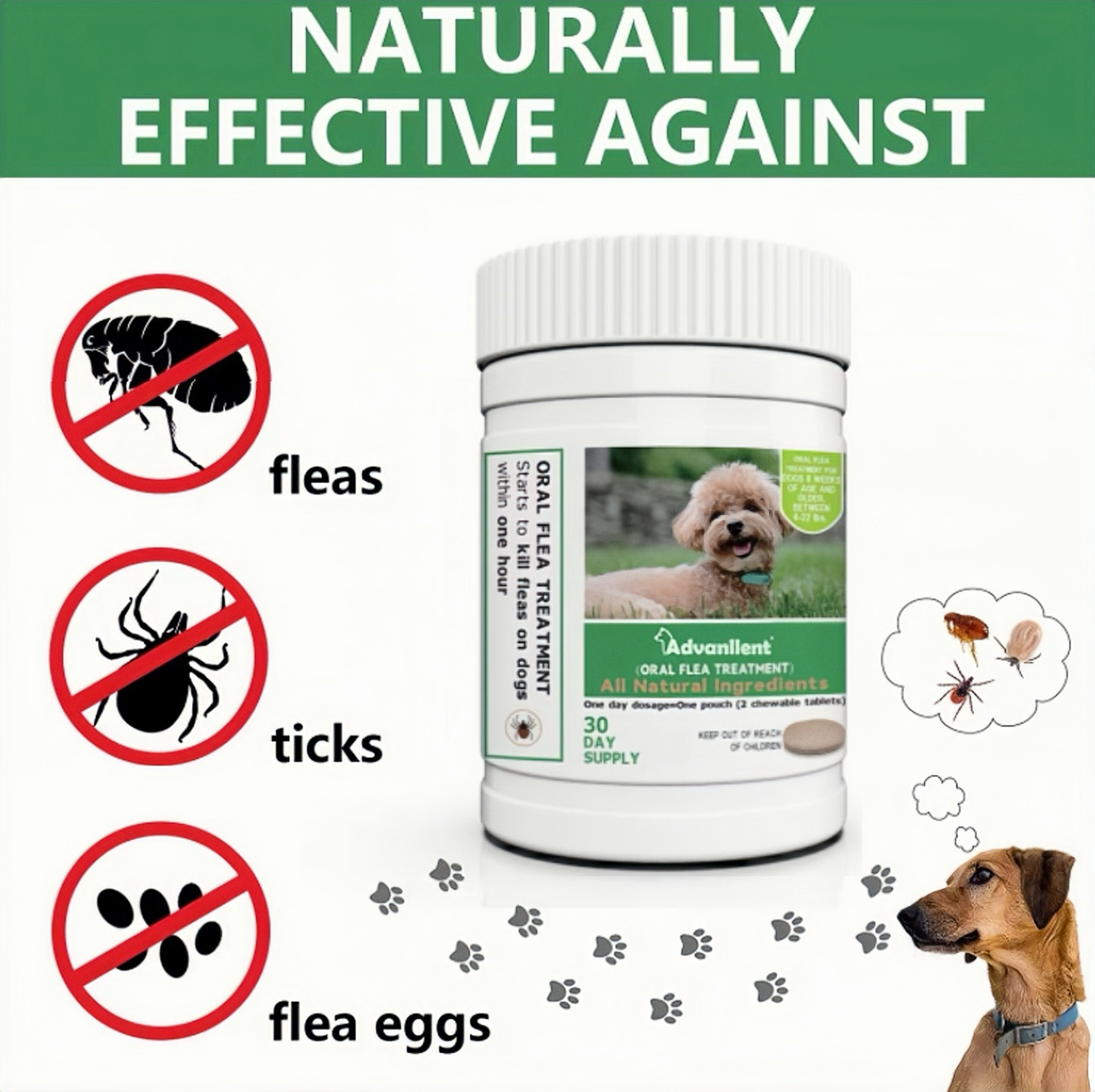 natural flea treatment