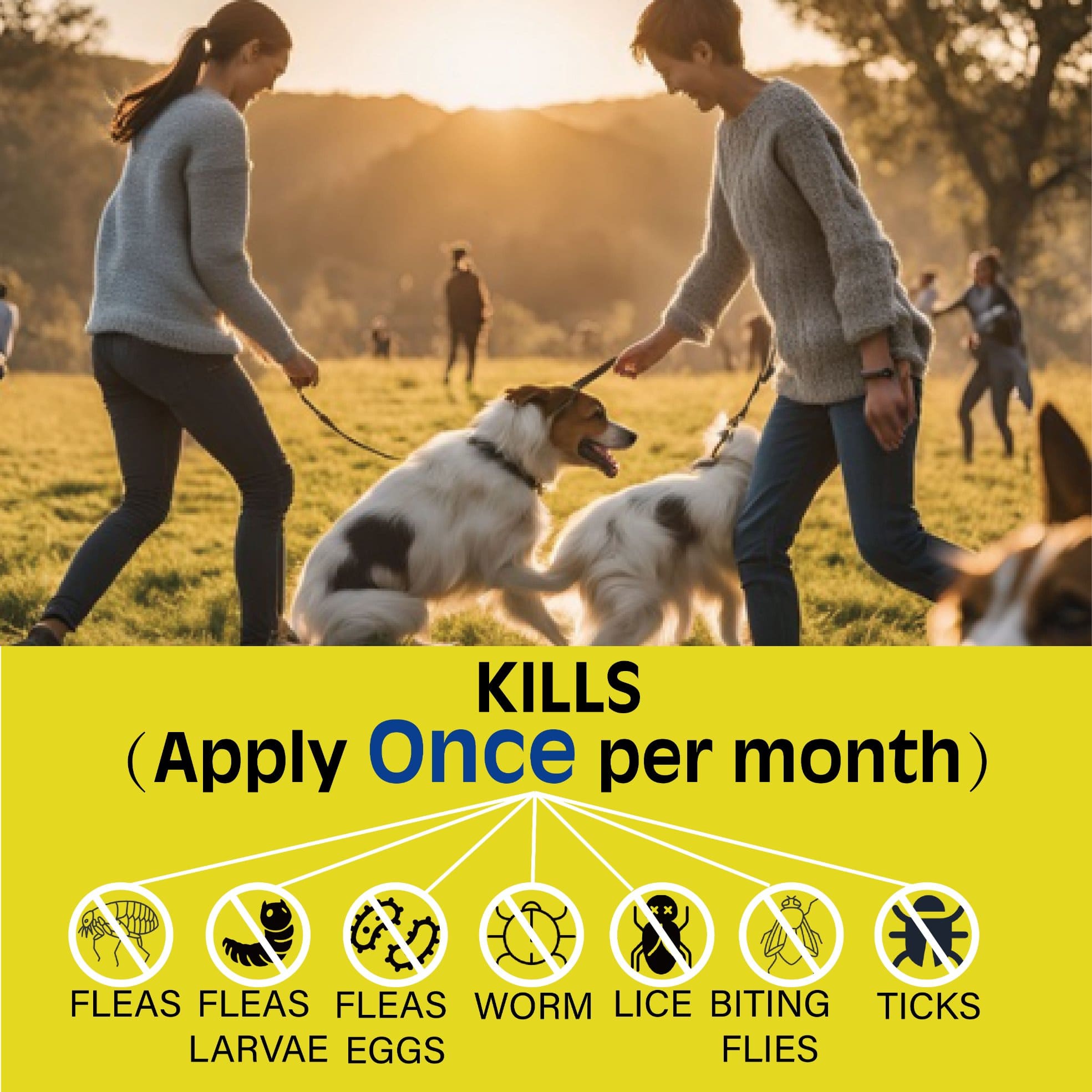 advanllent-tick-and-flea-treatment-worm-control-oral-flea-treatment